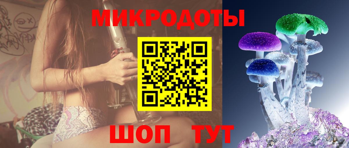 Псилоцибиновые грибы GOLDEN TEACHER Полысаево